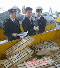 驗(yàn)放進(jìn)出口貨物 流程、合規(guī)與效率的關(guān)鍵環(huán)節(jié)