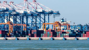 8月進(jìn)出口增速雙降,政策托底外貿(mào)仍具韌性
